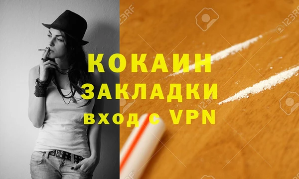 mix Инта