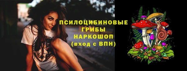 ALPHA-PVP Инсар