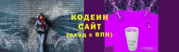 mix Инта