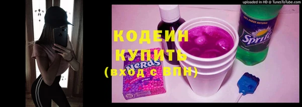 mix Инта