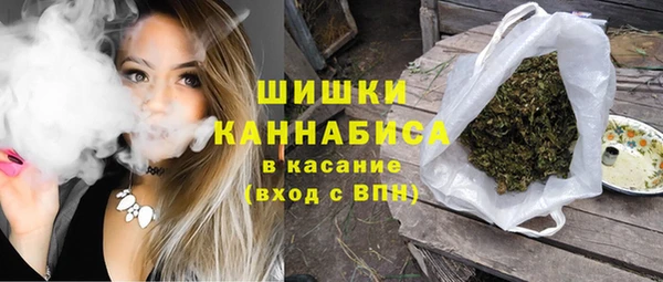 mix Инта