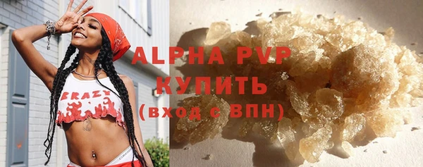 mix Инта