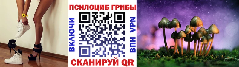 Купить  Гулькевичи  Галлюциногенные грибы Magic Shrooms 